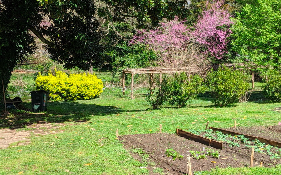 home-moravian-wachovia-garden-plots